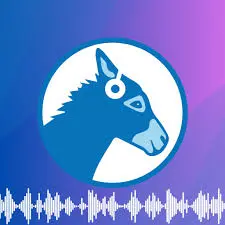 OBIČAN Radio